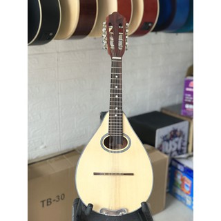 Bán Đàn Mandolin Gỗ Hồng Đào