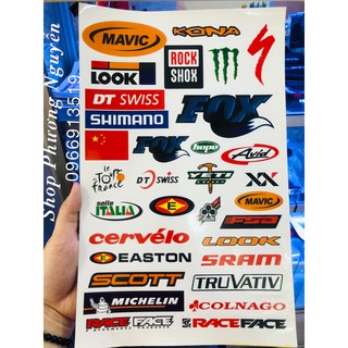 Decal Trang Trí Xe Đạp - Decal Trong Suốt Dán Sườn ( 2 mẫu)