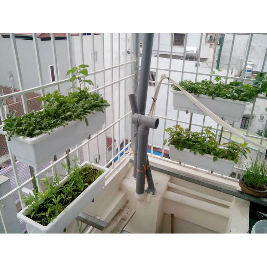 Giá Treo 2 Tầng Trồng Cây Cho Chậu Dài Thông Minh Trên Chuồng Cọp Hay Thanh Sắt Rộng 2cm