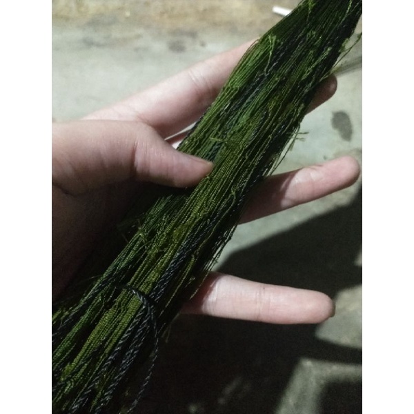 Bộ 10 cung chim cút mới nhất 2022