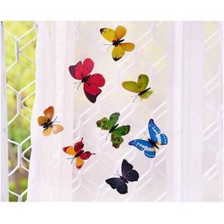 Bộ 12 bướm nam châm dán trang trí, chụp ảnh siêu đẹp, ảnh thật tại shop nhe khách