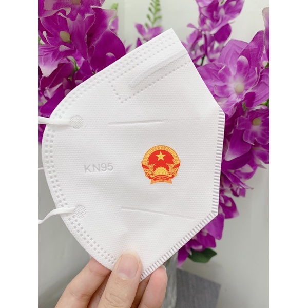 Sét 10chiếc Khẩu trang N95 in logo QUỐC HUY, in logo theo yêu cầu