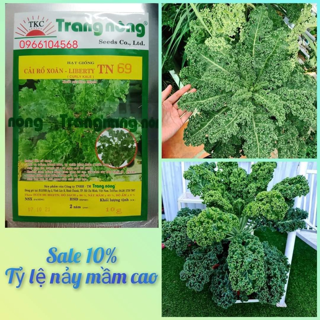 Hạt giống cải xoăn kale chịu nhiệt gói 10gr, hạt giống rau củ quả dễ trồng