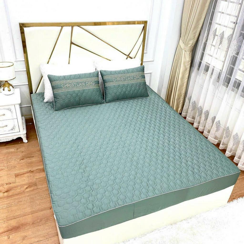 Ga và 2 vỏ gối lụa trần bông dày dặn
