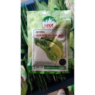 Hạt giống cải bẹ Đông Dư gói 20g, 50g