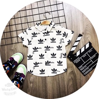 áo sơ mi adidas