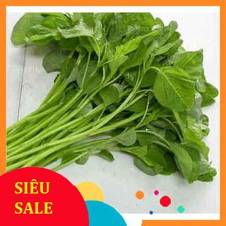 20g Hạt giống Rau Dền xanh