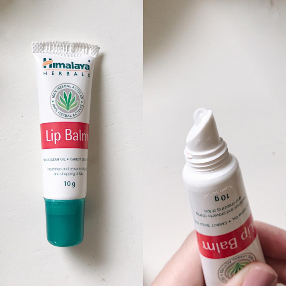 Son dưỡng hồng môi chiết xuất cà rốt Himalaya Lip Balm 10g