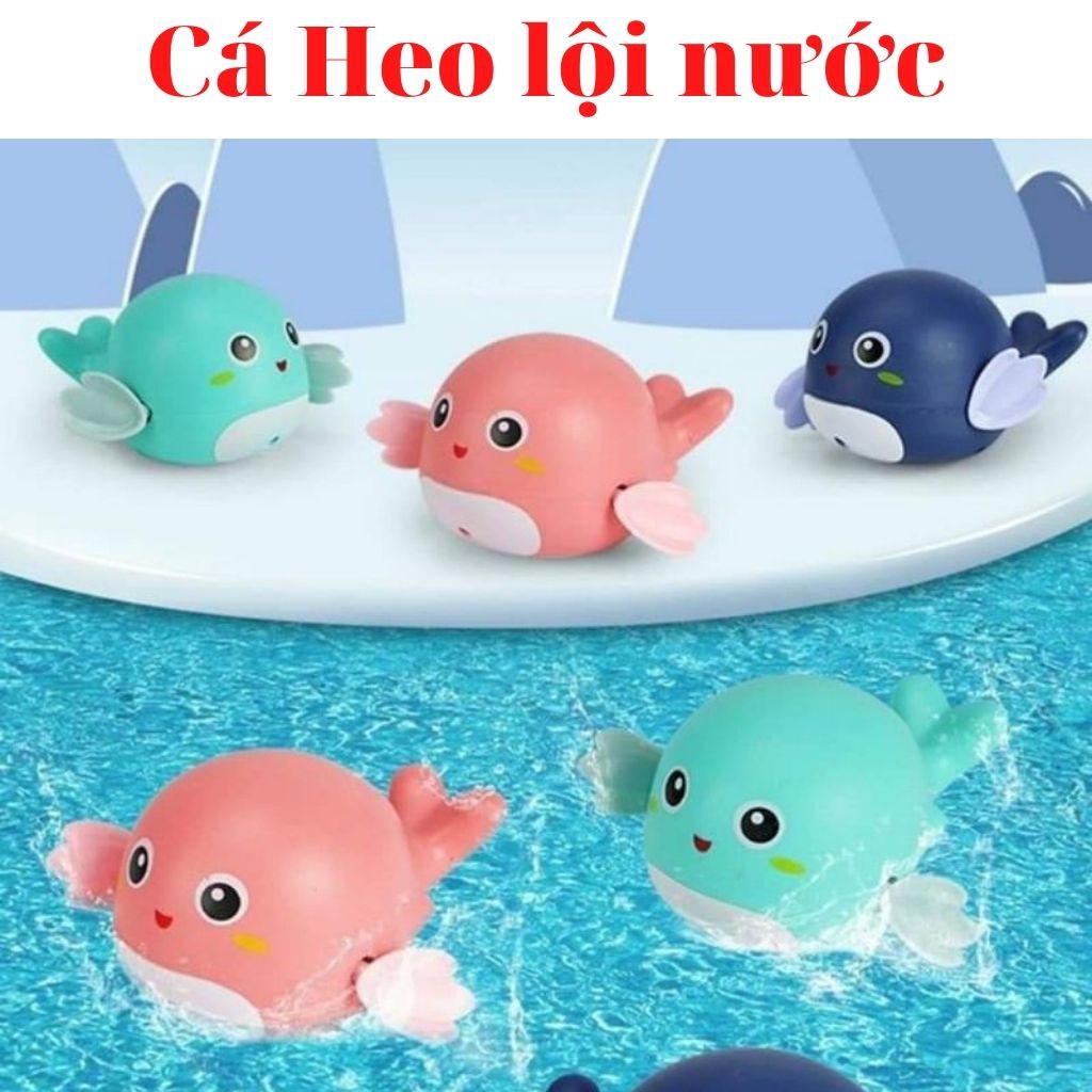 Rùa, vịt, cá tự bơi trong nước