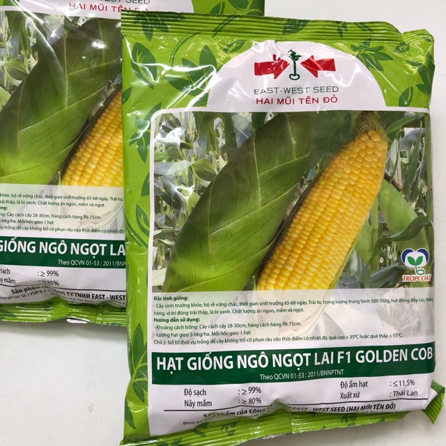 Hạt giống bắp Mỹ (bắp ngọt) - 500gr