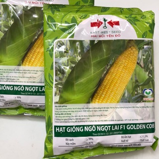 Hạt giống bắp Mỹ (bắp ngọt) - 500gr
