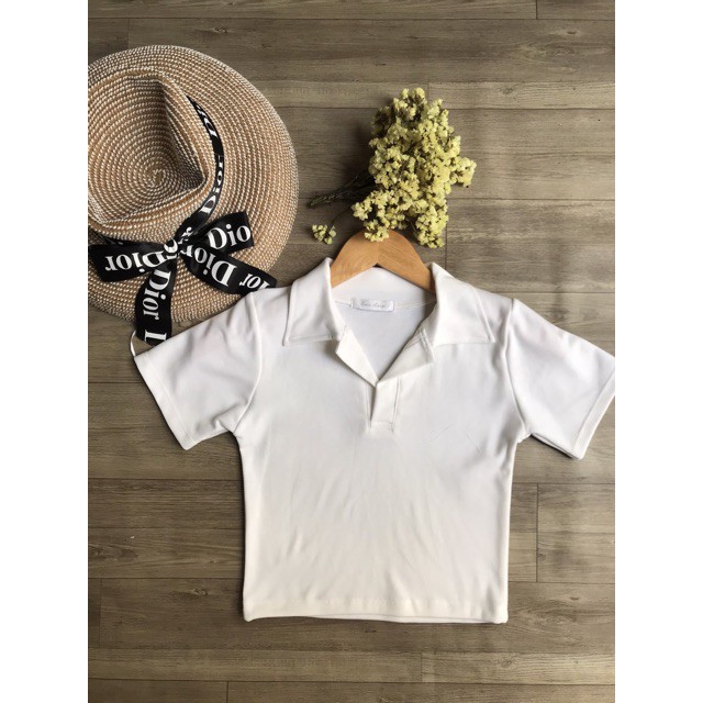 ÁO CROPTOP CỔ TRỤ POLO | BigBuy360 - bigbuy360.vn