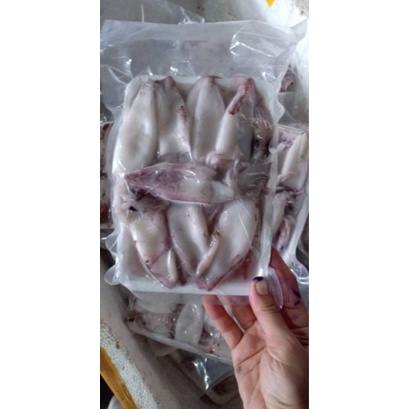 mực chã ❤HÀ NỘI SHIP HOẢ TỐC❤mực chã size vừa dễ chế biến: Mực xào me, Mực ăn lẩu, Mực hấp, đồ ăn vặt ngon