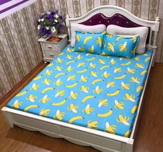 GA CHUN VÀ VỎ GỐI POLY COTTONG