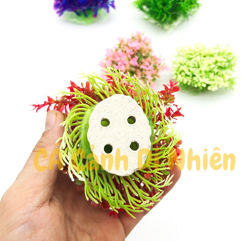 Mô hình cây rong CỎ CHÙM bằng nhựa trang trí hồ cá cảnh
