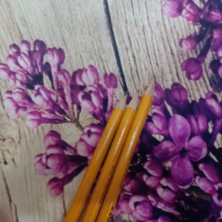 Bút chì Staedtler 134-2B