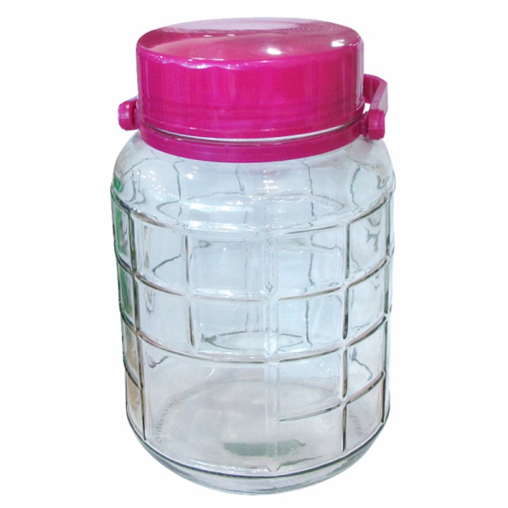 Bình thủy tinh nắp nhựa tím 12L quai xách nắp nhựa kín có lỗ thử rượu thủy tinh dầy dặn dễ vận chuyển [ RẺ VÔ ĐỊCH ]