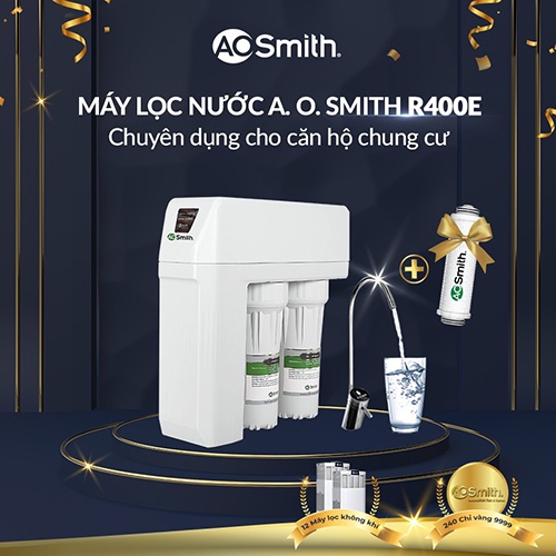 Máy lọc nước chung cư RO A.O.Smith R400E