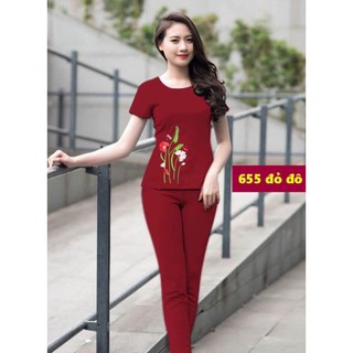 Sét bộ thun cát hàn 4 size 40kg đến 75kg.cath03