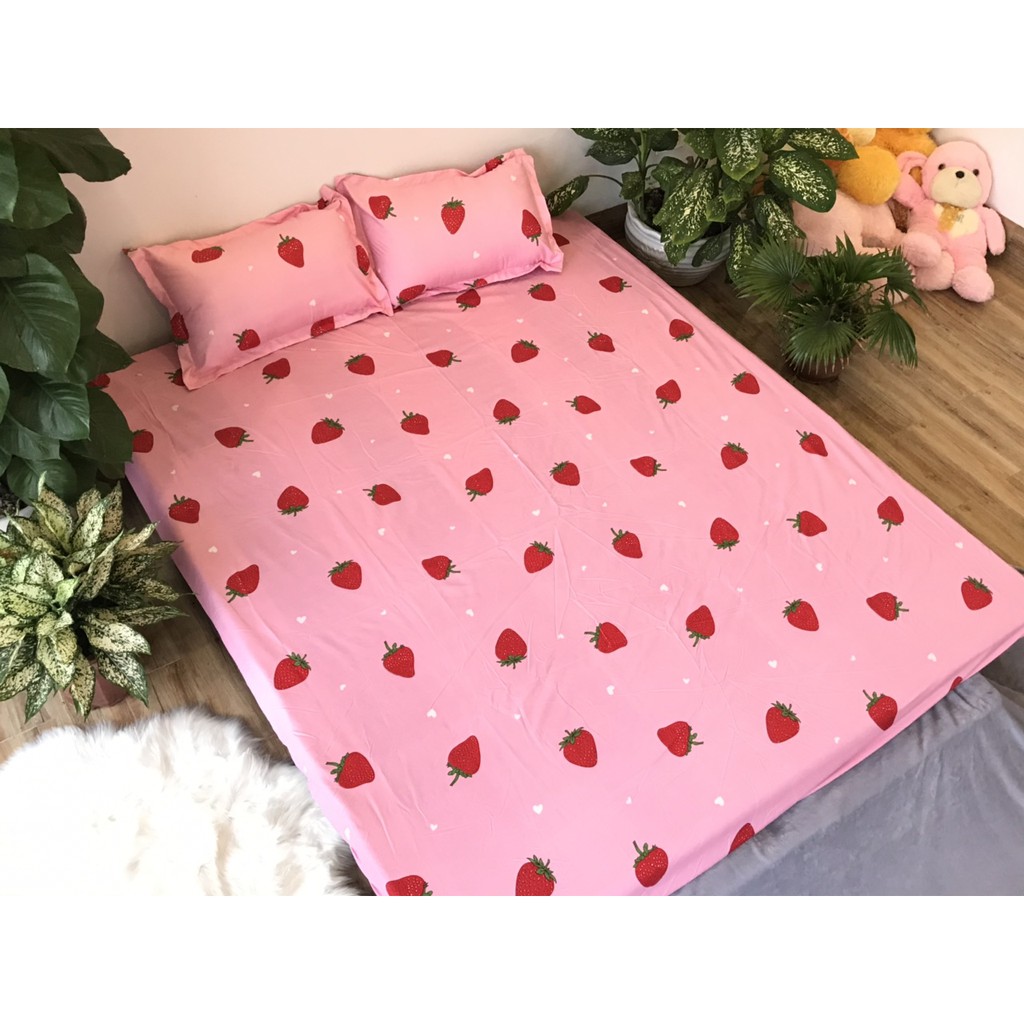 Sét ga chun và 2 áo gối nằm Emmidecor - mẫu dâu tây hồng, drap cotton poly