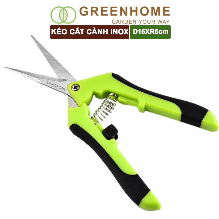 Kéo cắt cành, D15,5xR4,5cm, inox, mũi nhọn, màu xanh, siêu bén, không gỉ, có khoá an toàn |Greenhome