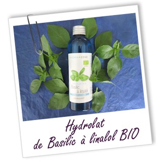 HYDROLAT - BASILIC À LINALOL BIO Aroma-zone(France)