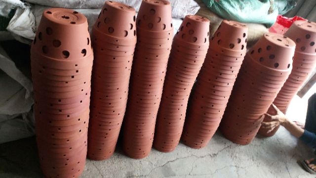 Chậu nhựa trồng lan giả đất phi 21