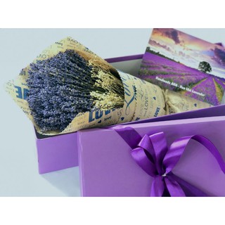 Combo hoa lavender khô và hộp