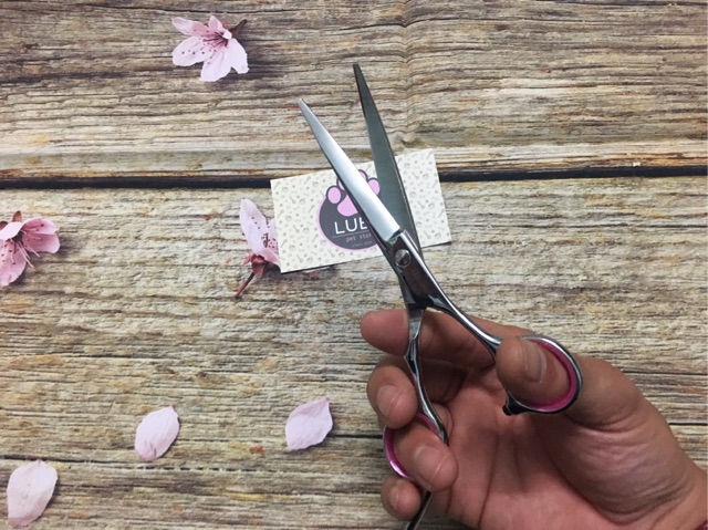 Kéo thẳng cắt lông cho cún