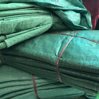 BAO TẢI DỨA SẤP 10 CÁI