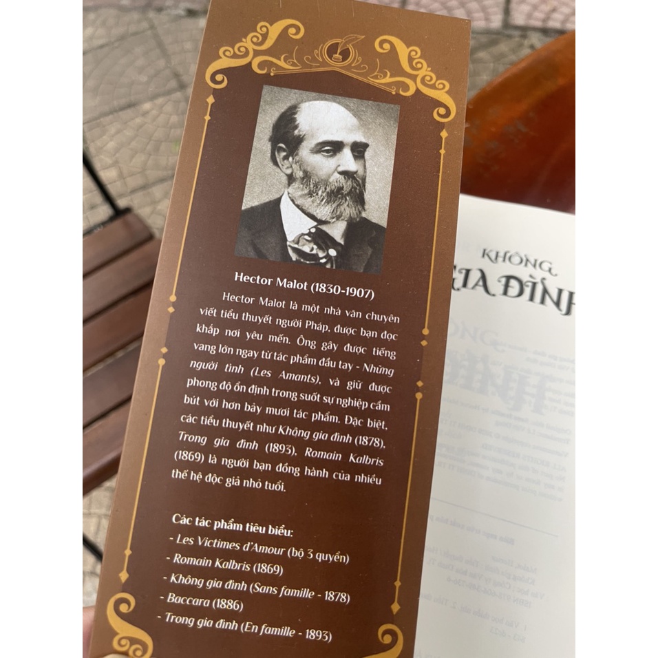 Sách - Không gia đình (Bản dịch mới, đầy đủ) - Hector Malot – Đinh Tị Books (Tái bản 2022)