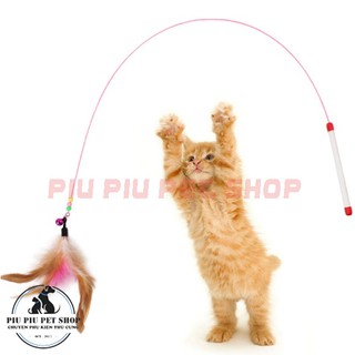 CẦN CÂU TRÊU MÈO