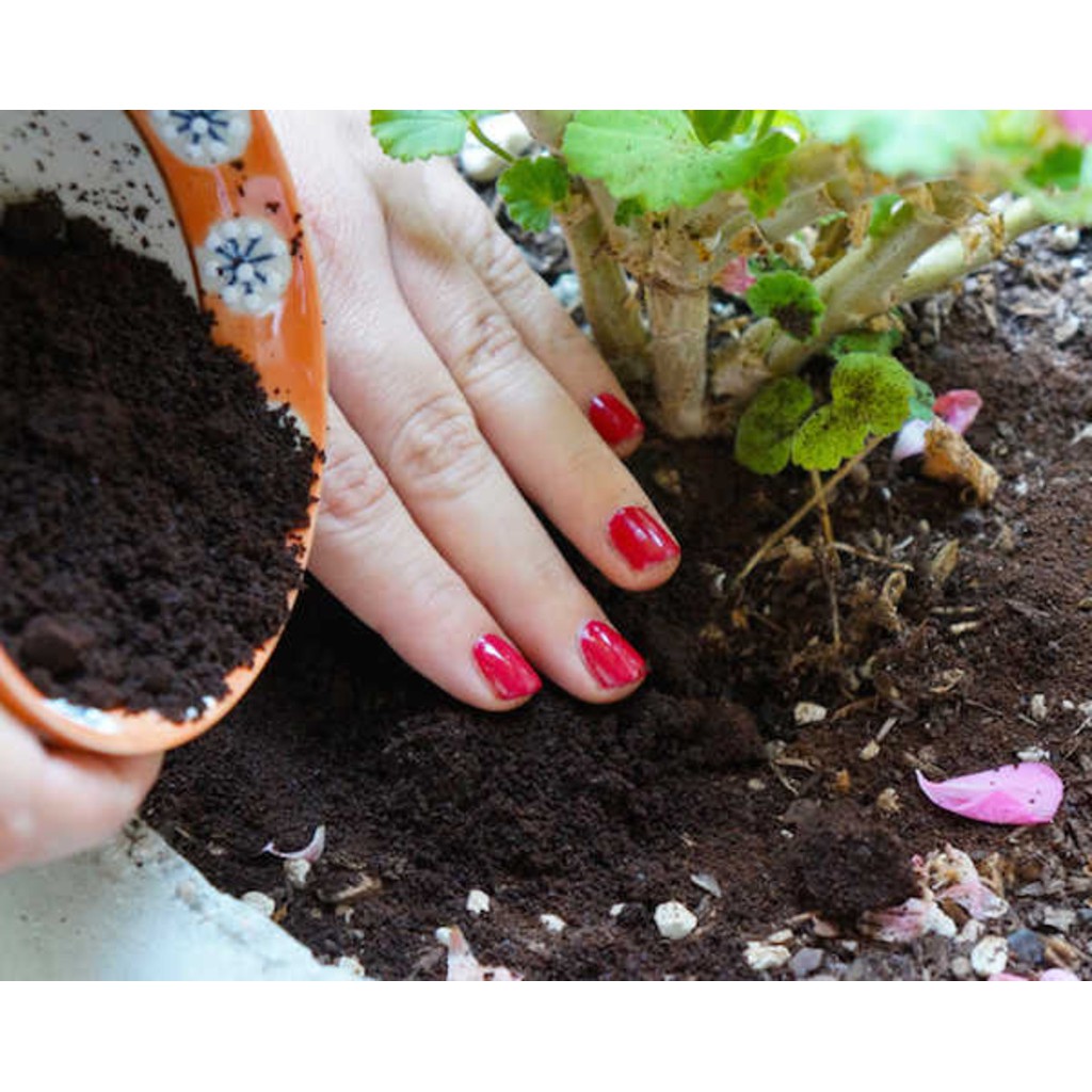 1kg phân bón chuyên hoa hồng ,đam gà ph-chic70 phân nở của úc