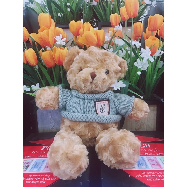 Gấu bông Teddy size 30cm