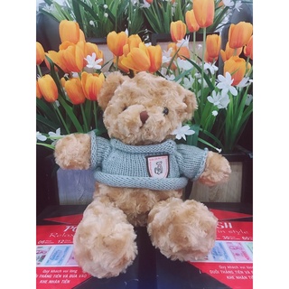 Gấu bông Teddy size 30cm