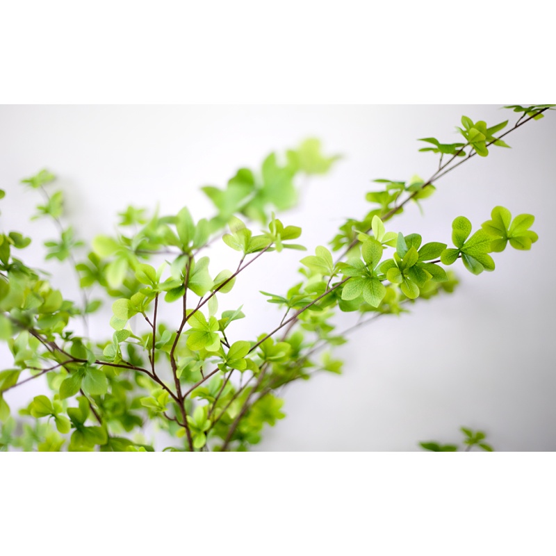 Cây Thạch Nam giả 3 thân 180cm bằng nhựa, lá vải - Jassi Decor