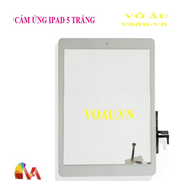 CẢM ỨNG IPAD 5 MÀU TRẮNG