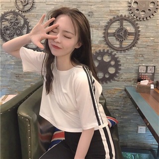 Áo thun nữ crop top sọc vai