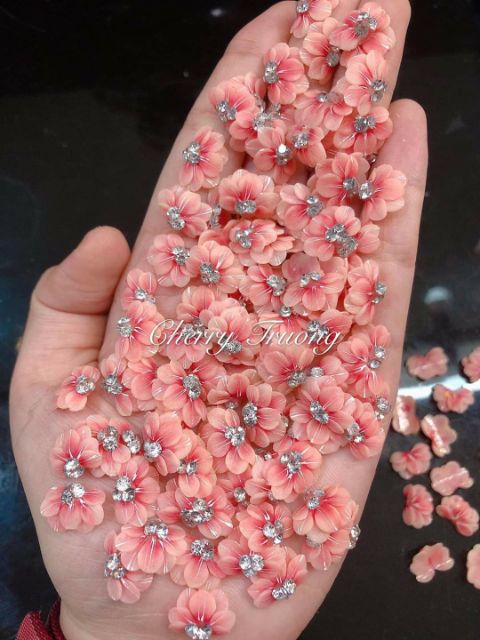 Hoa bột _ hoa cúc ôm móng