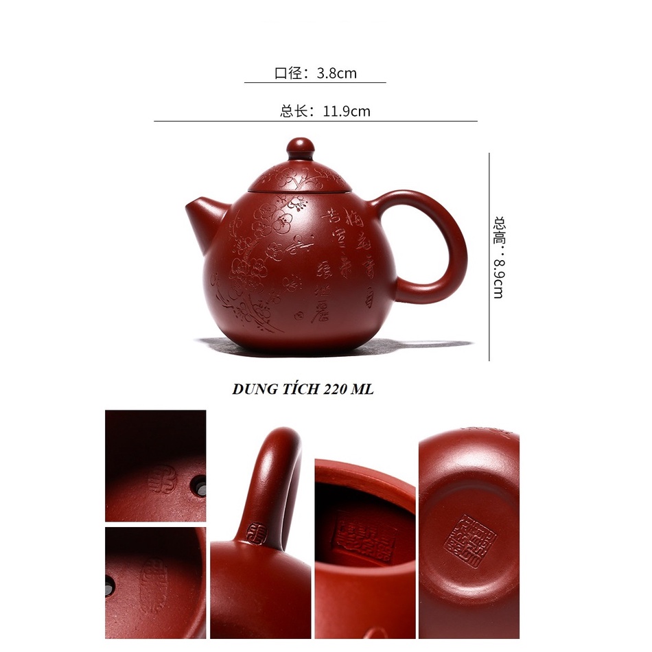 Ấm Tử Sa Nghi Hưng Long Đán Mai Hoa 220 ml (Đại Hồng Bào, Lọc tổ ong)