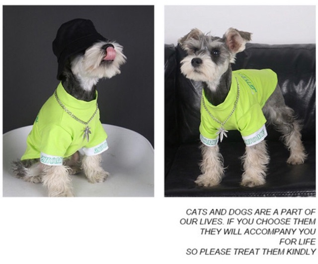 ÁO THUN COOL NGẦU - CAO CẤP CHO CHÓ MÈO