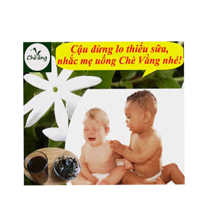 Cao Chè Vằng 100gram Lợi Sữa , Giảm Cân, Ổn định huyết áp , Ngủ ngon LCV