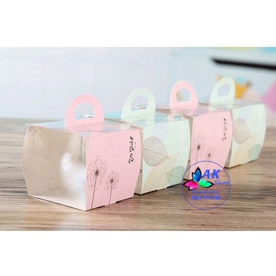 SET 5 HỘP BÁNH MICA 10X10