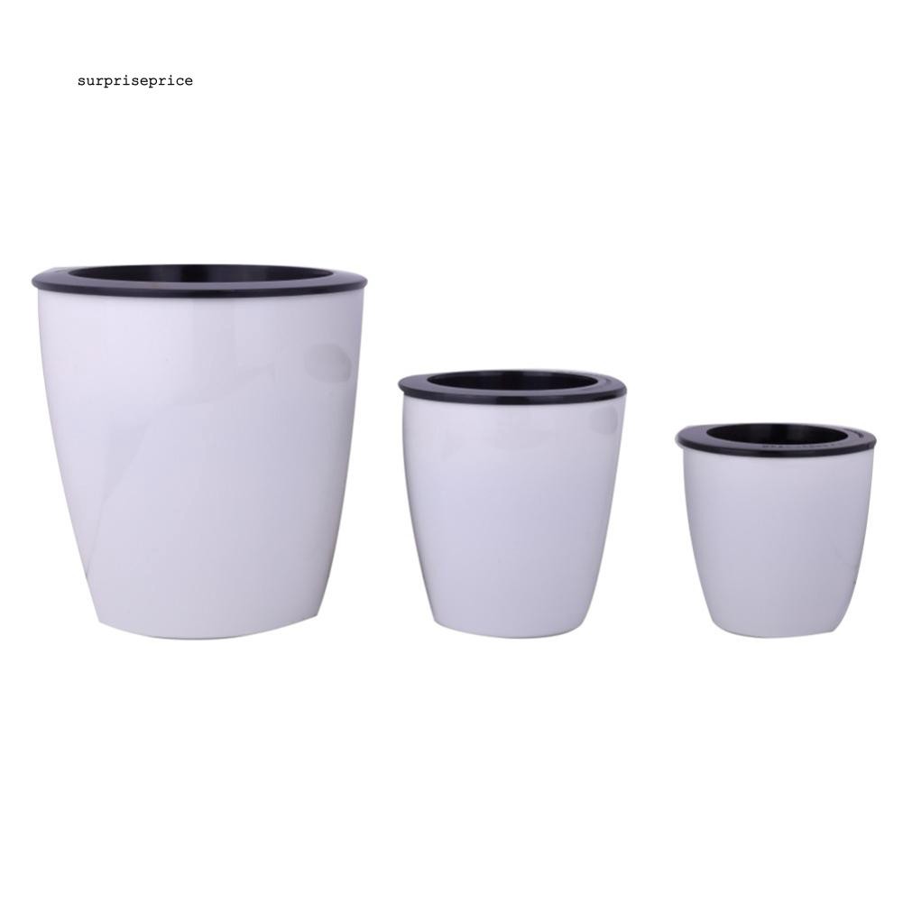 Chậu hoa treo tường tự tưới nước dùng để trang trí