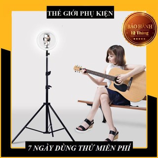 [BH 6 THÁNG] Đèn LiveStream 20cm .Hỗ trợ ánh sáng Chụp Ảnh, Make Up Trang Điểm. 3 Chế Độ Sáng