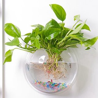 Nhwh Treo Tường Cá Cá Cá Vàng Bể Cá Treo Nồi Bát Bong Bóng DIY Trang Trí
