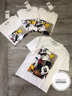 Các mẫu phông