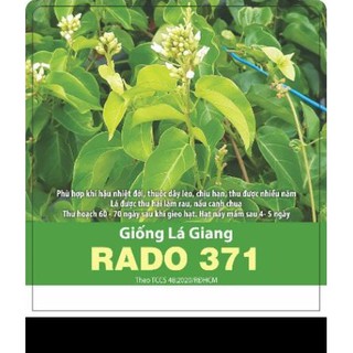 Hạt giống Lá giang 5 hạt❤️FREESHIP XTRA❤️