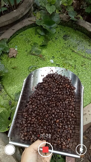 [ FREESHIP TỪ 99K ] Cà phê nguyên chất không pha trộn | BigBuy360 - bigbuy360.vn