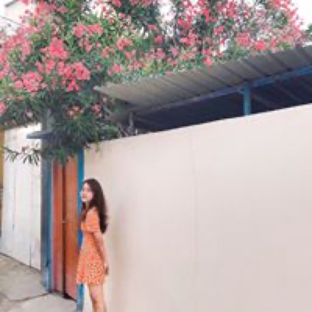Mầm Cosmetics